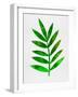 Tropical Leaf III-Jasmine Woods-Framed Art Print