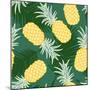 Tropical Leaf Pineapple-lilalove-Mounted Art Print