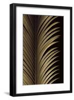 Tropical Leaf Study I-Andrew Levine-Framed Giclee Print