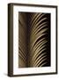 Tropical Leaf Study I-Andrew Levine-Framed Giclee Print