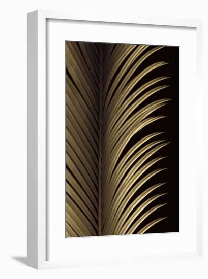 Tropical Leaf Study I-Andrew Levine-Framed Giclee Print