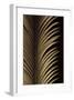 Tropical Leaf Study I-Andrew Levine-Framed Giclee Print