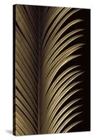 Tropical Leaf Study I-Andrew Levine-Stretched Canvas