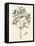 Tropical Leaf Study I-Hugo Wild-Framed Stretched Canvas