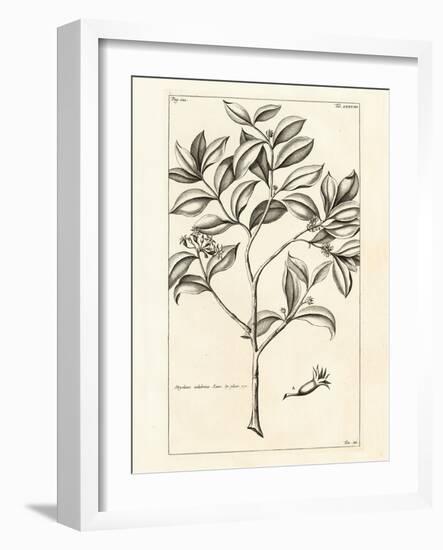 Tropical Leaf Study I-Hugo Wild-Framed Art Print