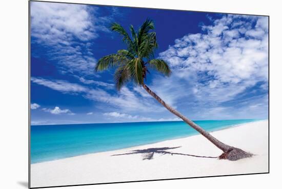 Tropical Leaning Palm Tree-null-Mounted Poster