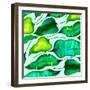 Tropical leaves, 2018-Andrew Watson-Framed Premium Giclee Print