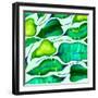 Tropical leaves, 2018-Andrew Watson-Framed Premium Giclee Print