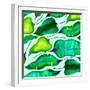 Tropical leaves, 2018-Andrew Watson-Framed Premium Giclee Print