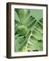 Tropical Leaves 2-LILA X LOLA-Framed Art Print