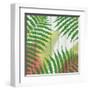 Tropical Leaves 2-Kimberly Allen-Framed Art Print