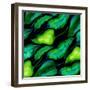 Tropical leaves, dark 2018-Andrew Watson-Framed Giclee Print