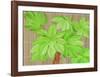Tropical Leaves I-D^ Patrian-Framed Art Print