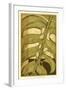 Tropical Leaves II-Jennifer Goldberger-Framed Art Print