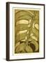 Tropical Leaves II-Jennifer Goldberger-Framed Art Print