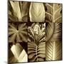 Tropical Leaves II-Caroline Kelly-Mounted Photo