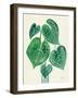 Tropical Leaves II-Farida Zaman-Framed Art Print