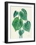 Tropical Leaves II-Farida Zaman-Framed Art Print