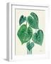 Tropical Leaves II-Farida Zaman-Framed Art Print