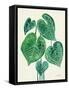 Tropical Leaves II-Farida Zaman-Framed Stretched Canvas