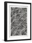 Tropical Leaves in Black-Cat Coquillette-Framed Art Print