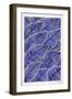 Tropical Leaves in Navy-Cat Coquillette-Framed Art Print