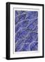 Tropical Leaves in Navy-Cat Coquillette-Framed Art Print