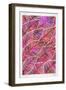 Tropical Leaves in Pink-Cat Coquillette-Framed Art Print