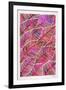 Tropical Leaves in Pink-Cat Coquillette-Framed Art Print