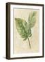 Tropical Leaves Neutral-Albena Hristova-Framed Art Print