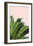 Tropical Leaves On Blush I-Acosta-Framed Art Print