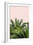 Tropical Leaves on Blush II-Acosta-Framed Art Print