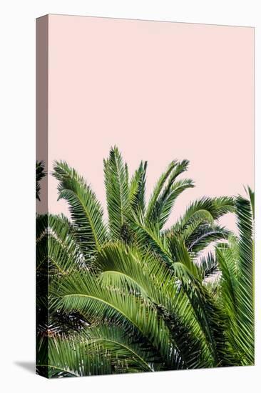 Tropical Leaves on Blush II-Acosta-Stretched Canvas