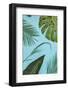Tropical Leaves-artjazz-Framed Photographic Print