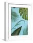 Tropical Leaves-artjazz-Framed Photographic Print
