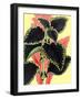 Tropical Leaves-null-Framed Art Print