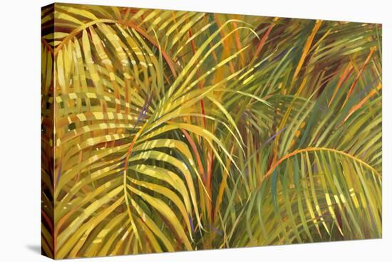 Tropical Light-Darrell Hill-Stretched Canvas