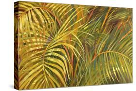 Tropical Light-Darrell Hill-Stretched Canvas