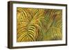 Tropical Light-Darrell Hill-Framed Premium Giclee Print