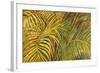 Tropical Light-Darrell Hill-Framed Giclee Print