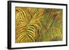 Tropical Light-Darrell Hill-Framed Giclee Print