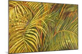 Tropical Light-Darrell Hill-Mounted Giclee Print