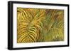 Tropical Light-Darrell Hill-Framed Giclee Print