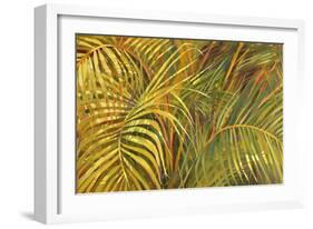 Tropical Light-Darrell Hill-Framed Giclee Print