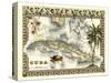 Tropical Map of Cuba-Vision Studio-Stretched Canvas
