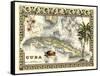 Tropical Map of Cuba-Vision Studio-Framed Stretched Canvas