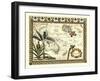 Tropical Map of East Indies-Vision Studio-Framed Art Print