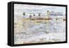 Tropical Mirage-Alexys Henry-Framed Stretched Canvas