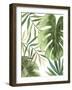 Tropical Mix I-PI Studio-Framed Art Print