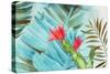 Tropical Mixing-Aimee Wilson-Stretched Canvas